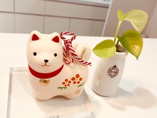 image1.jpeg